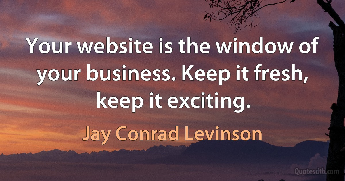 Your website is the window of your business. Keep it fresh, keep it exciting. (Jay Conrad Levinson)