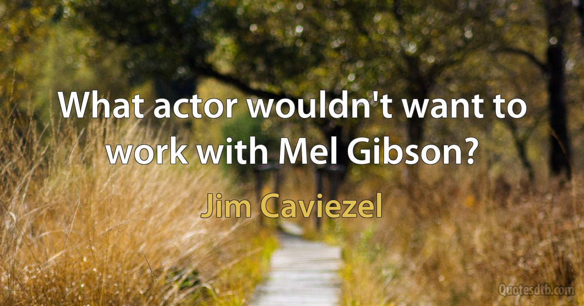 What actor wouldn't want to work with Mel Gibson? (Jim Caviezel)