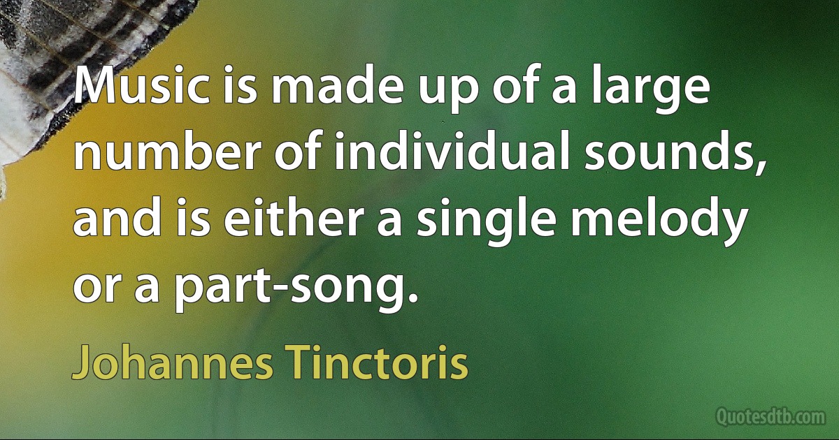 Music is made up of a large number of individual sounds, and is either a single melody or a part-song. (Johannes Tinctoris)