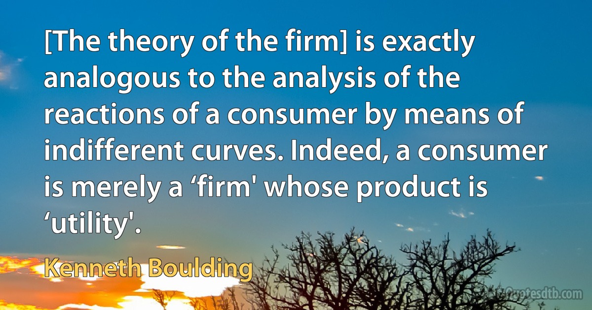 [The theory of the firm] is exactly analogous to the analysis of the reactions of a consumer by means of indifferent curves. Indeed, a consumer is merely a ‘firm' whose product is ‘utility'. (Kenneth Boulding)