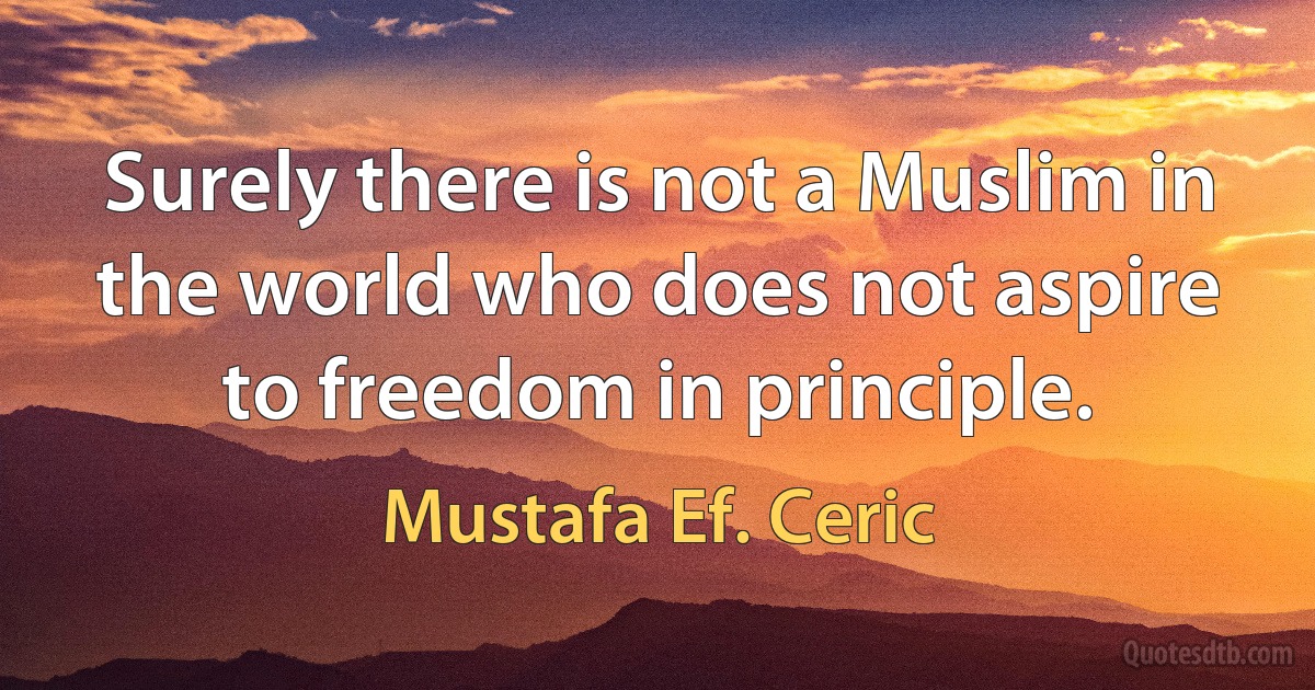 Surely there is not a Muslim in the world who does not aspire to freedom in principle. (Mustafa Ef. Ceric)