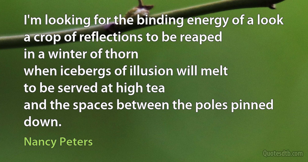 I'm looking for the binding energy of a look
a crop of reflections to be reaped
in a winter of thorn
when icebergs of illusion will melt
to be served at high tea
and the spaces between the poles pinned down. (Nancy Peters)