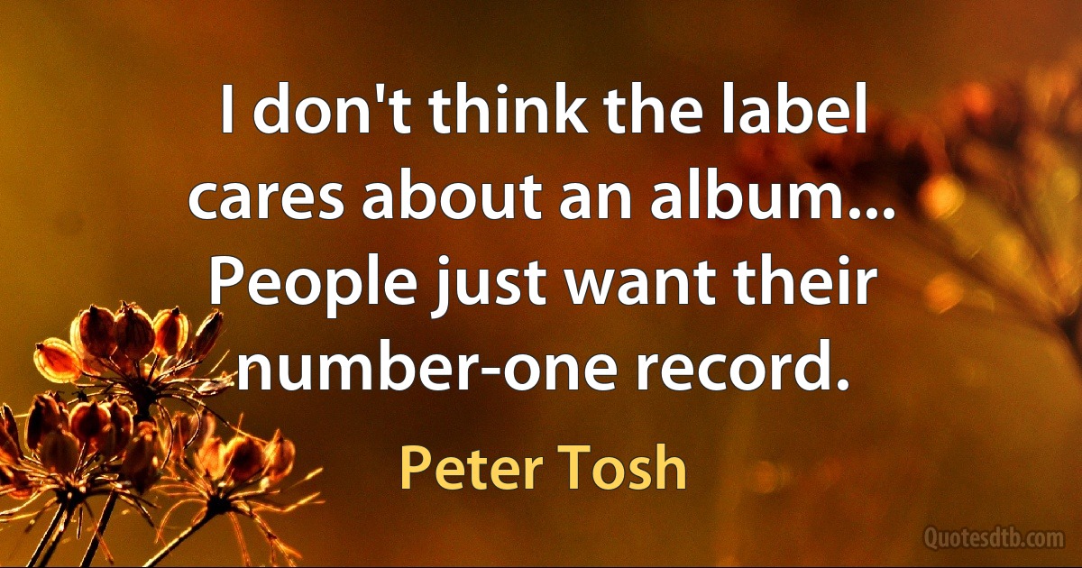 I don't think the label cares about an album... People just want their number-one record. (Peter Tosh)