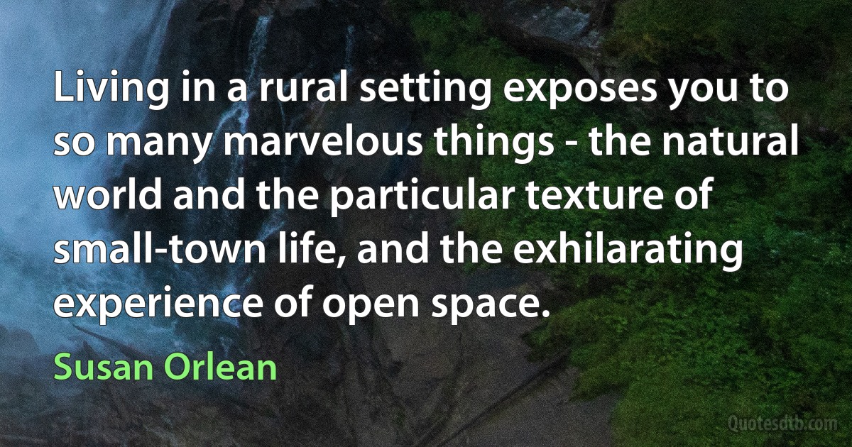 Living in a rural setting exposes you to so many marvelous things - the natural world and the particular texture of small-town life, and the exhilarating experience of open space. (Susan Orlean)