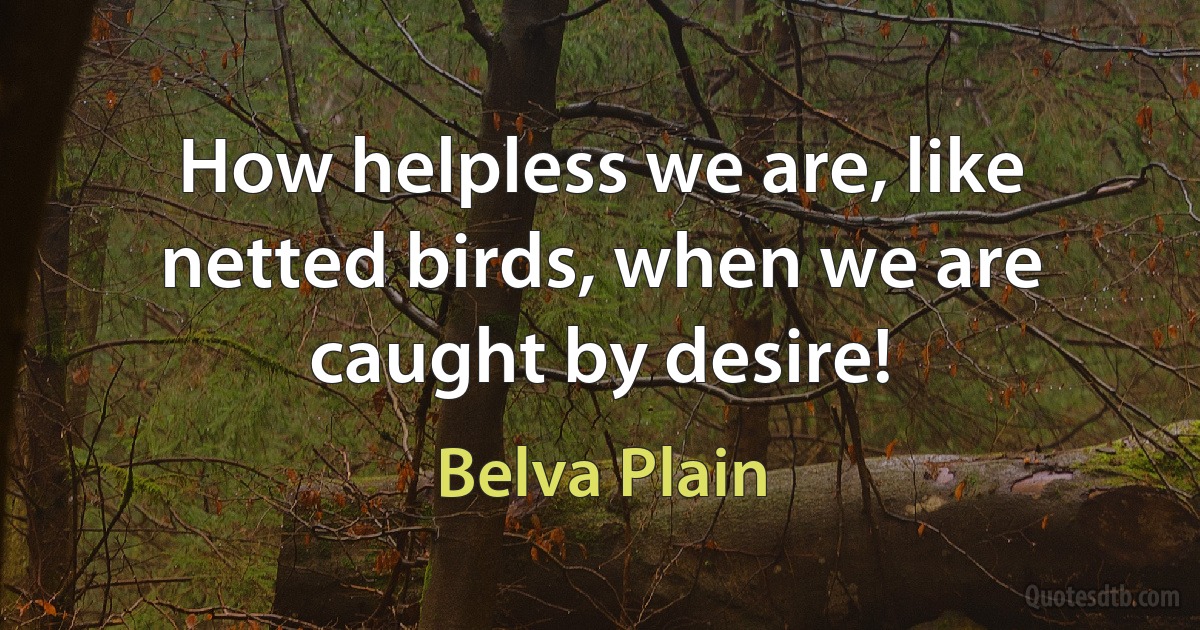 How helpless we are, like netted birds, when we are caught by desire! (Belva Plain)