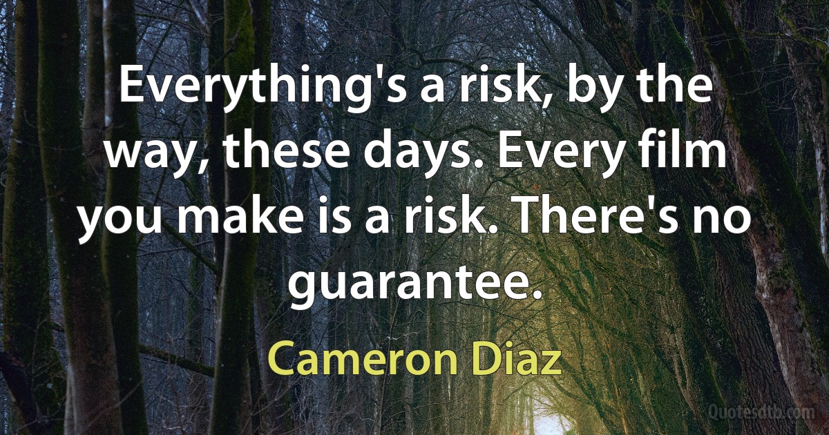 Everything's a risk, by the way, these days. Every film you make is a risk. There's no guarantee. (Cameron Diaz)