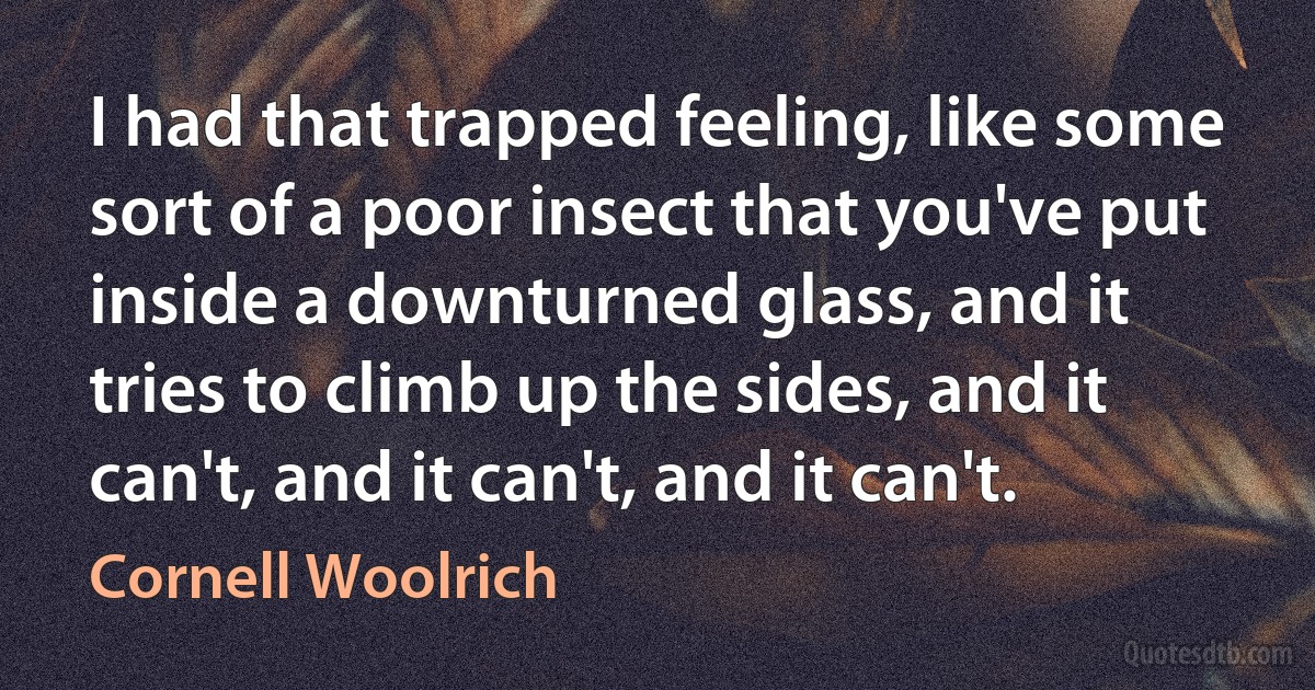 I had that trapped feeling, like some sort of a poor insect that you've put inside a downturned glass, and it tries to climb up the sides, and it can't, and it can't, and it can't. (Cornell Woolrich)