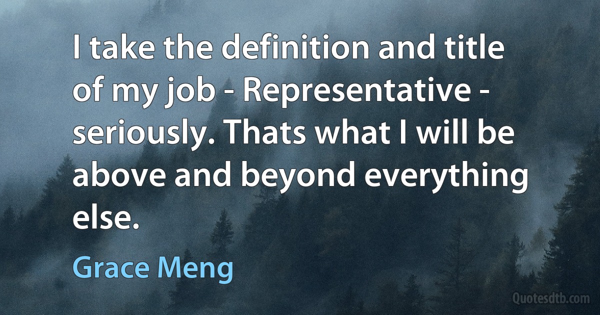 I take the definition and title of my job - Representative - seriously. Thats what I will be above and beyond everything else. (Grace Meng)