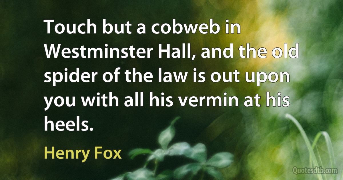 Touch but a cobweb in Westminster Hall, and the old spider of the law is out upon you with all his vermin at his heels. (Henry Fox)