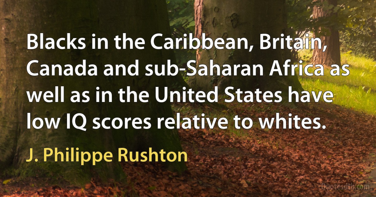 Blacks in the Caribbean, Britain, Canada and sub-Saharan Africa as well as in the United States have low IQ scores relative to whites. (J. Philippe Rushton)