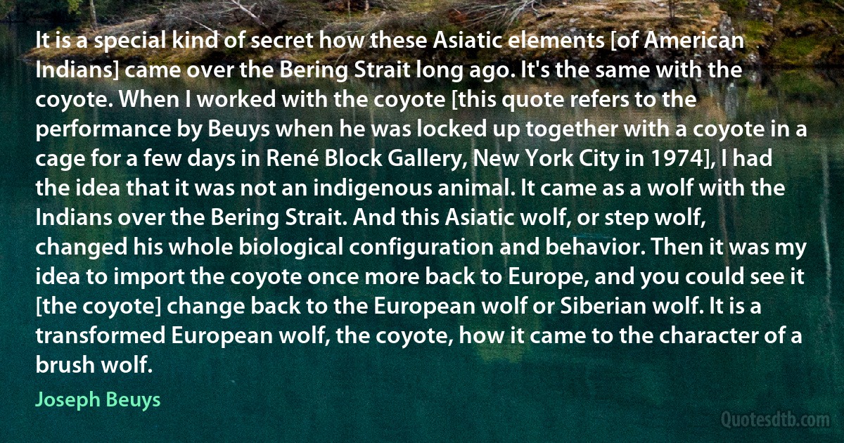 It is a special kind of secret how these Asiatic elements [of American Indians] came over the Bering Strait long ago. It's the same with the coyote. When I worked with the coyote [this quote refers to the performance by Beuys when he was locked up together with a coyote in a cage for a few days in René Block Gallery, New York City in 1974], I had the idea that it was not an indigenous animal. It came as a wolf with the Indians over the Bering Strait. And this Asiatic wolf, or step wolf, changed his whole biological configuration and behavior. Then it was my idea to import the coyote once more back to Europe, and you could see it [the coyote] change back to the European wolf or Siberian wolf. It is a transformed European wolf, the coyote, how it came to the character of a brush wolf. (Joseph Beuys)