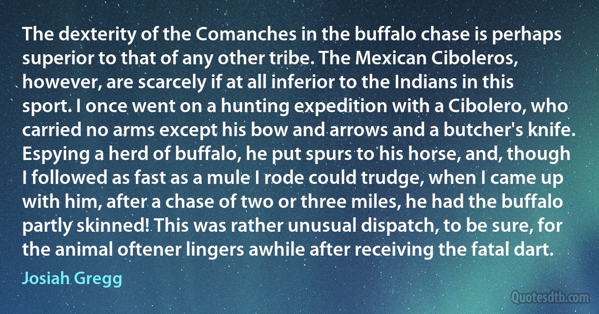 The dexterity of the Comanches in the buffalo chase is perhaps superior to that of any other tribe. The Mexican Ciboleros, however, are scarcely if at all inferior to the Indians in this sport. I once went on a hunting expedition with a Cibolero, who carried no arms except his bow and arrows and a butcher's knife. Espying a herd of buffalo, he put spurs to his horse, and, though I followed as fast as a mule I rode could trudge, when I came up with him, after a chase of two or three miles, he had the buffalo partly skinned! This was rather unusual dispatch, to be sure, for the animal oftener lingers awhile after receiving the fatal dart. (Josiah Gregg)