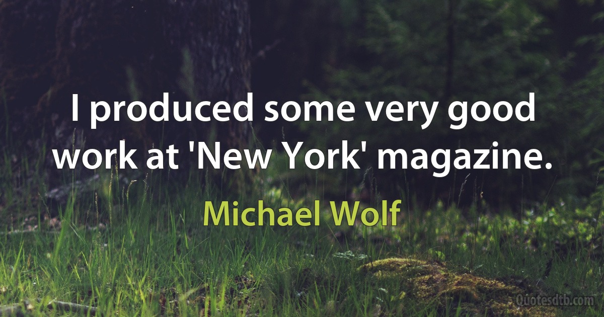 I produced some very good work at 'New York' magazine. (Michael Wolf)