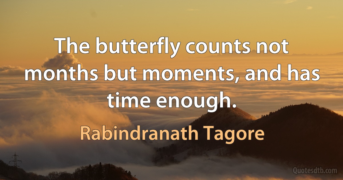 The butterfly counts not months but moments, and has time enough. (Rabindranath Tagore)