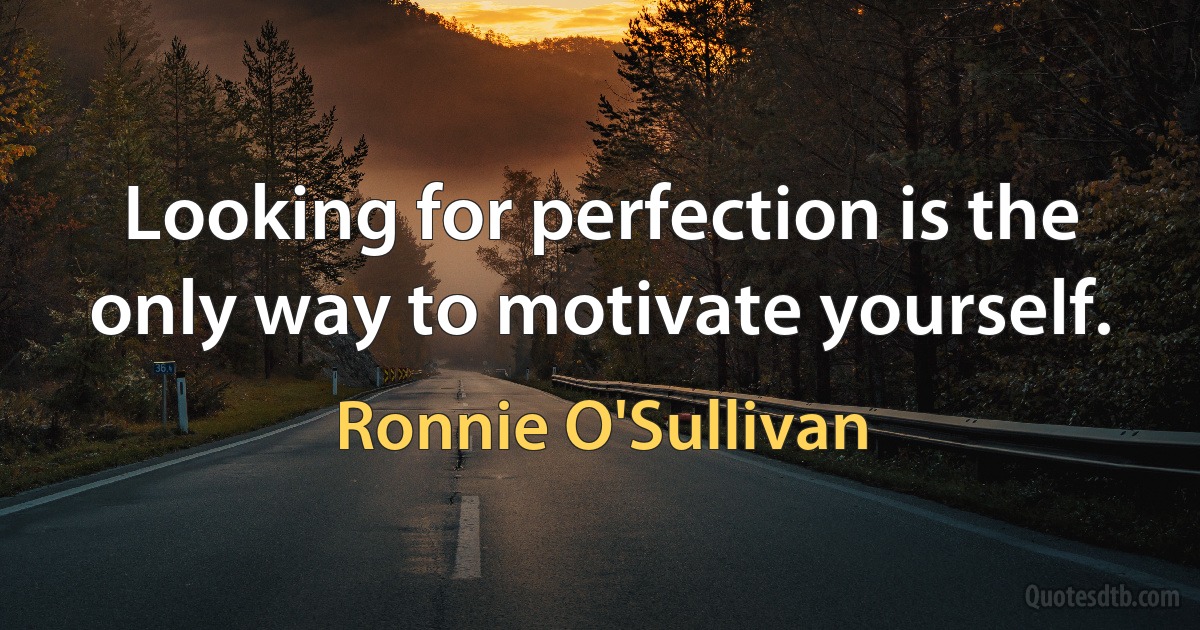 Looking for perfection is the only way to motivate yourself. (Ronnie O'Sullivan)