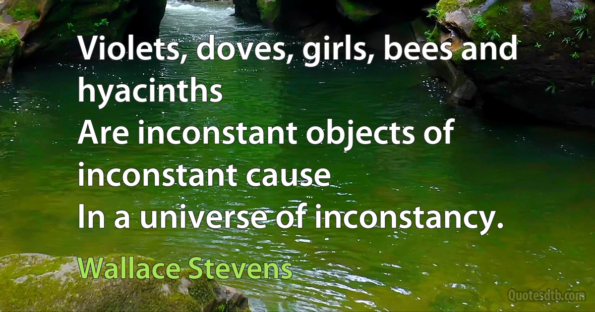 Violets, doves, girls, bees and hyacinths
Are inconstant objects of inconstant cause
In a universe of inconstancy. (Wallace Stevens)