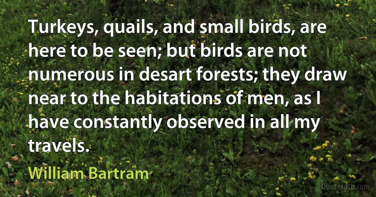 Turkeys, quails, and small birds, are here to be seen; but birds are not numerous in desart forests; they draw near to the habitations of men, as I have constantly observed in all my travels. (William Bartram)