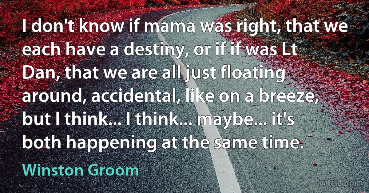 I don't know if mama was right, that we each have a destiny, or if if was Lt Dan, that we are all just floating around, accidental, like on a breeze, but I think... I think... maybe... it's both happening at the same time. (Winston Groom)