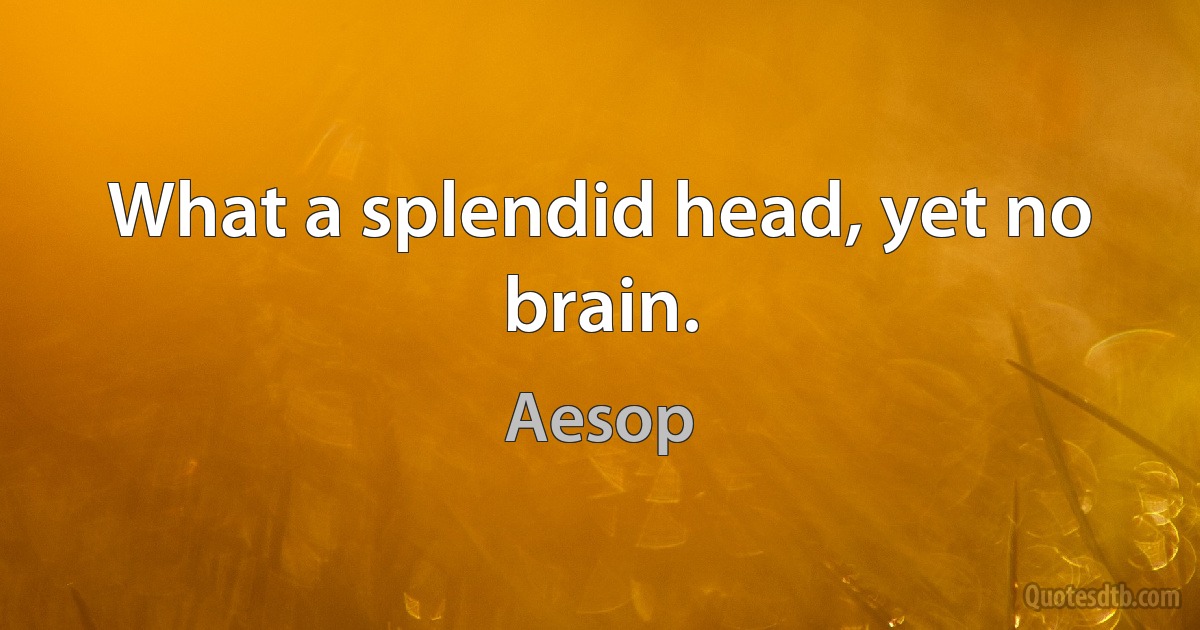 What a splendid head, yet no brain. (Aesop)