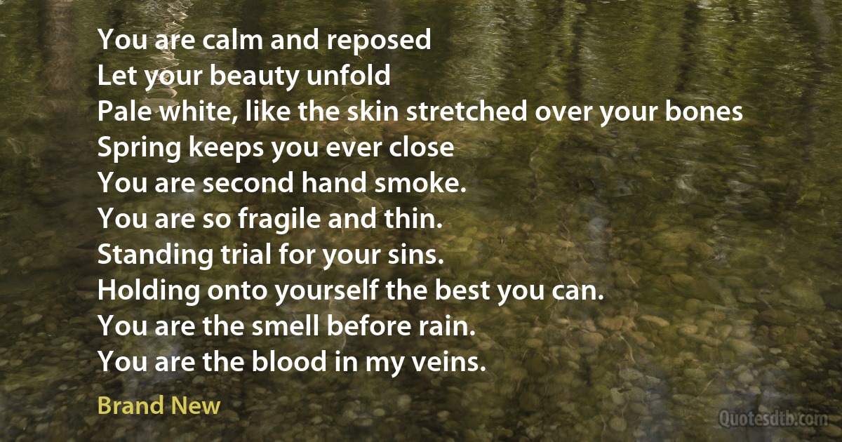 You are calm and reposed
Let your beauty unfold
Pale white, like the skin stretched over your bones
Spring keeps you ever close
You are second hand smoke.
You are so fragile and thin.
Standing trial for your sins.
Holding onto yourself the best you can.
You are the smell before rain.
You are the blood in my veins. (Brand New)