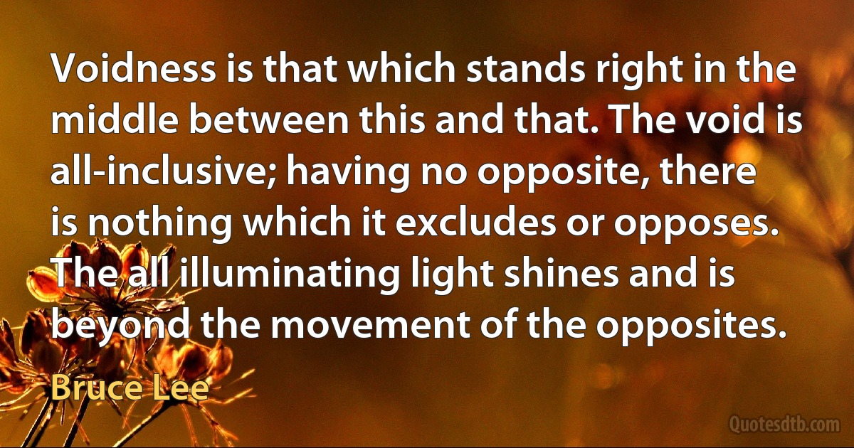 Voidness is that which stands right in the middle between this and that. The void is all-inclusive; having no opposite, there is nothing which it excludes or opposes. The all illuminating light shines and is beyond the movement of the opposites. (Bruce Lee)