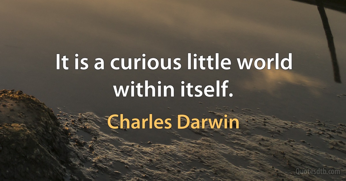 It is a curious little world within itself. (Charles Darwin)