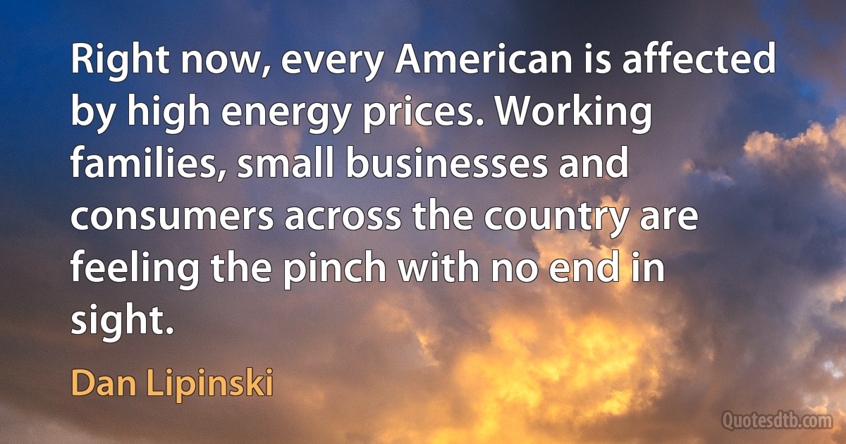 Right now, every American is affected by high energy prices. Working families, small businesses and consumers across the country are feeling the pinch with no end in sight. (Dan Lipinski)