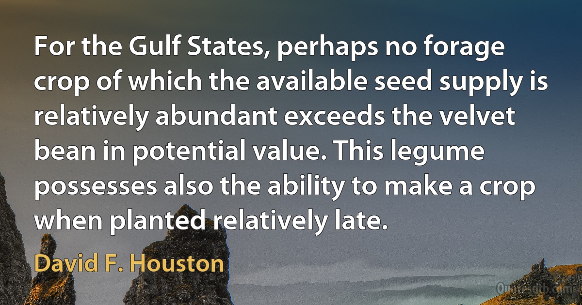 For the Gulf States, perhaps no forage crop of which the available seed supply is relatively abundant exceeds the velvet bean in potential value. This legume possesses also the ability to make a crop when planted relatively late. (David F. Houston)