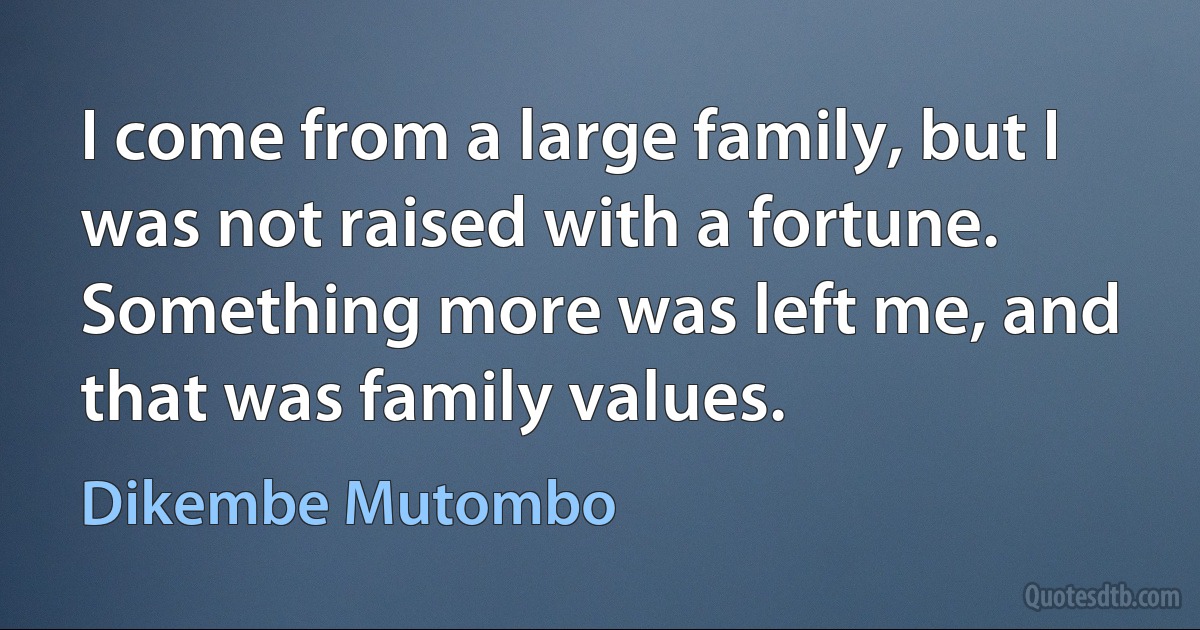 I come from a large family, but I was not raised with a fortune. Something more was left me, and that was family values. (Dikembe Mutombo)