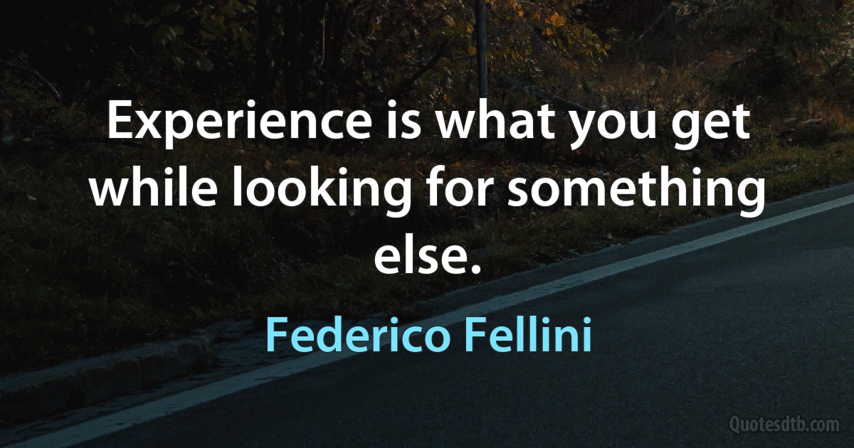 Experience is what you get while looking for something else. (Federico Fellini)