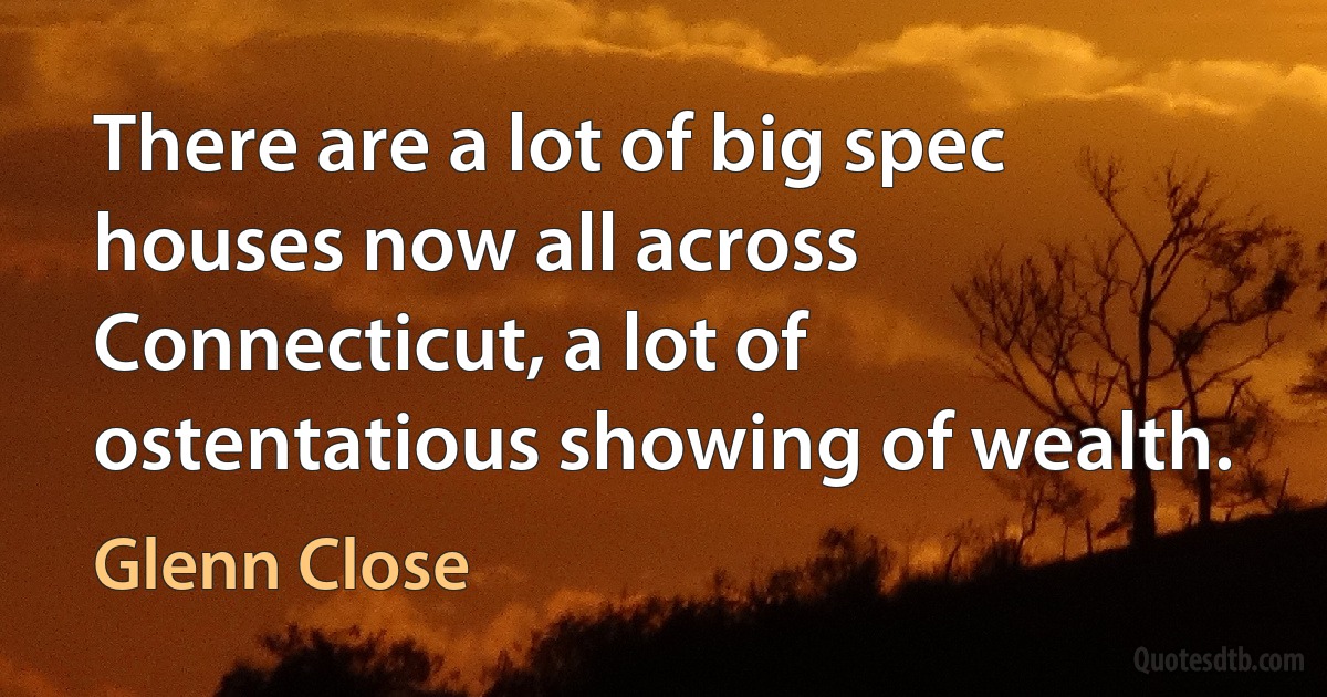 There are a lot of big spec houses now all across Connecticut, a lot of ostentatious showing of wealth. (Glenn Close)