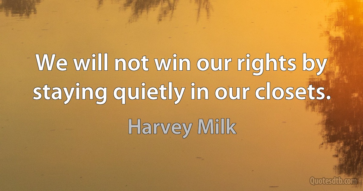 We will not win our rights by staying quietly in our closets. (Harvey Milk)