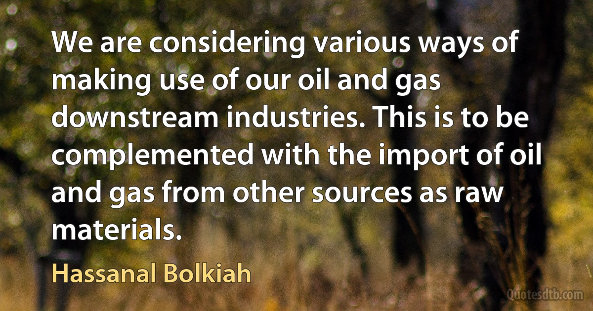 We are considering various ways of making use of our oil and gas downstream industries. This is to be complemented with the import of oil and gas from other sources as raw materials. (Hassanal Bolkiah)