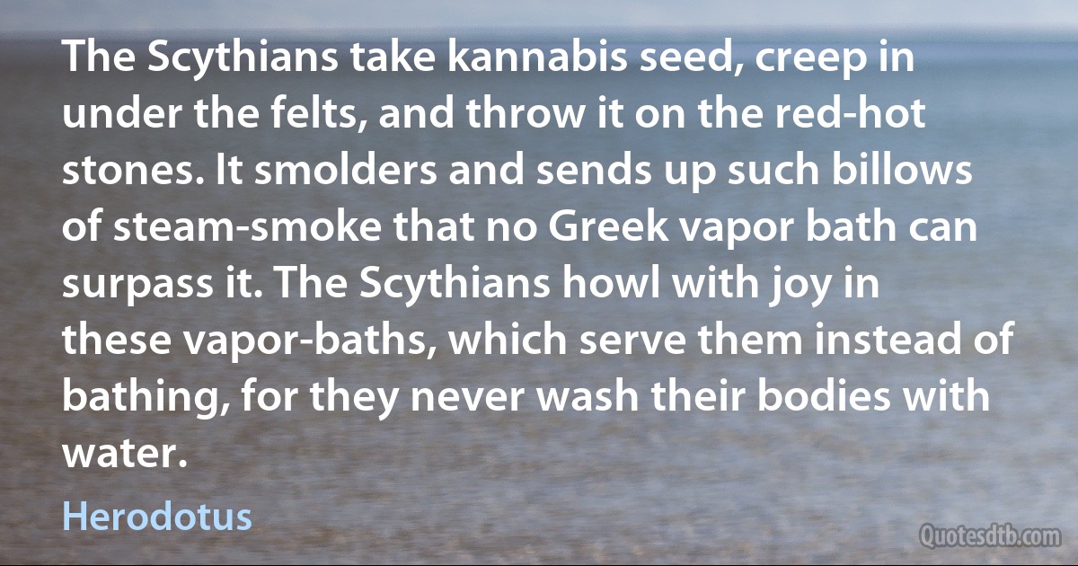 The Scythians take kannabis seed, creep in under the felts, and throw it on the red-hot stones. It smolders and sends up such billows of steam-smoke that no Greek vapor bath can surpass it. The Scythians howl with joy in these vapor-baths, which serve them instead of bathing, for they never wash their bodies with water. (Herodotus)