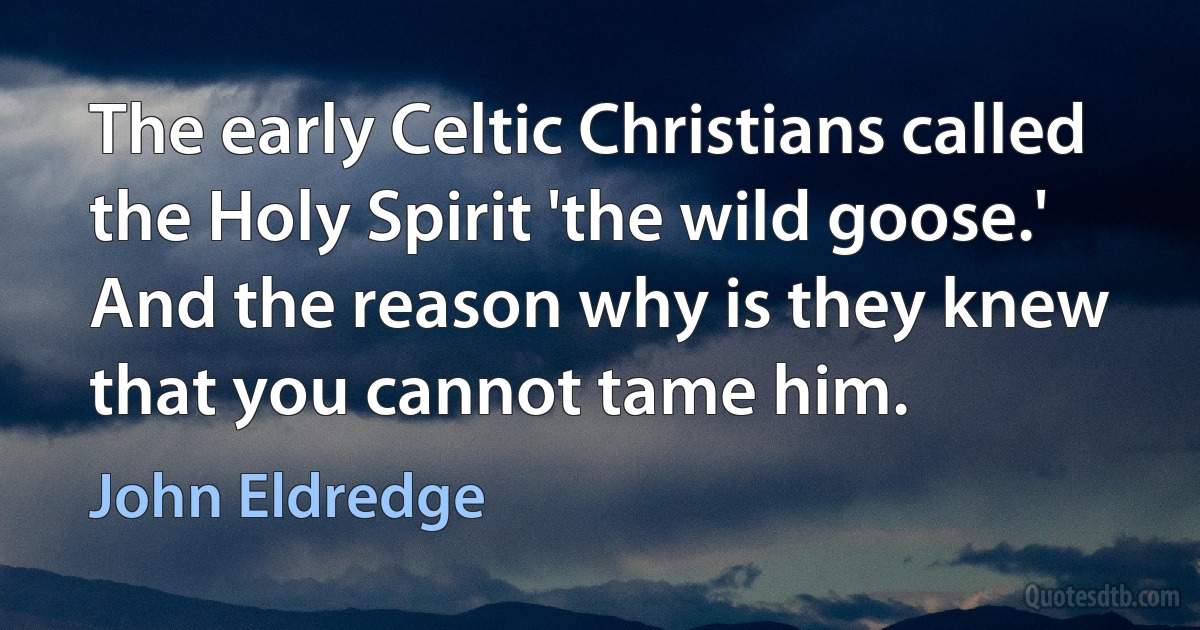 The early Celtic Christians called the Holy Spirit 'the wild goose.' And the reason why is they knew that you cannot tame him. (John Eldredge)