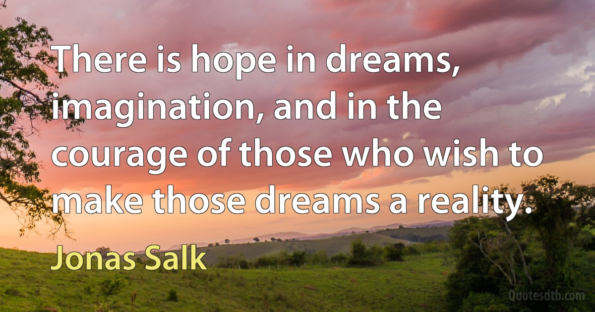 There is hope in dreams, imagination, and in the courage of those who wish to make those dreams a reality. (Jonas Salk)