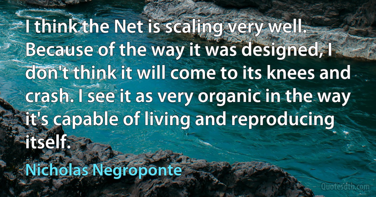 I think the Net is scaling very well. Because of the way it was designed, I don't think it will come to its knees and crash. I see it as very organic in the way it's capable of living and reproducing itself. (Nicholas Negroponte)