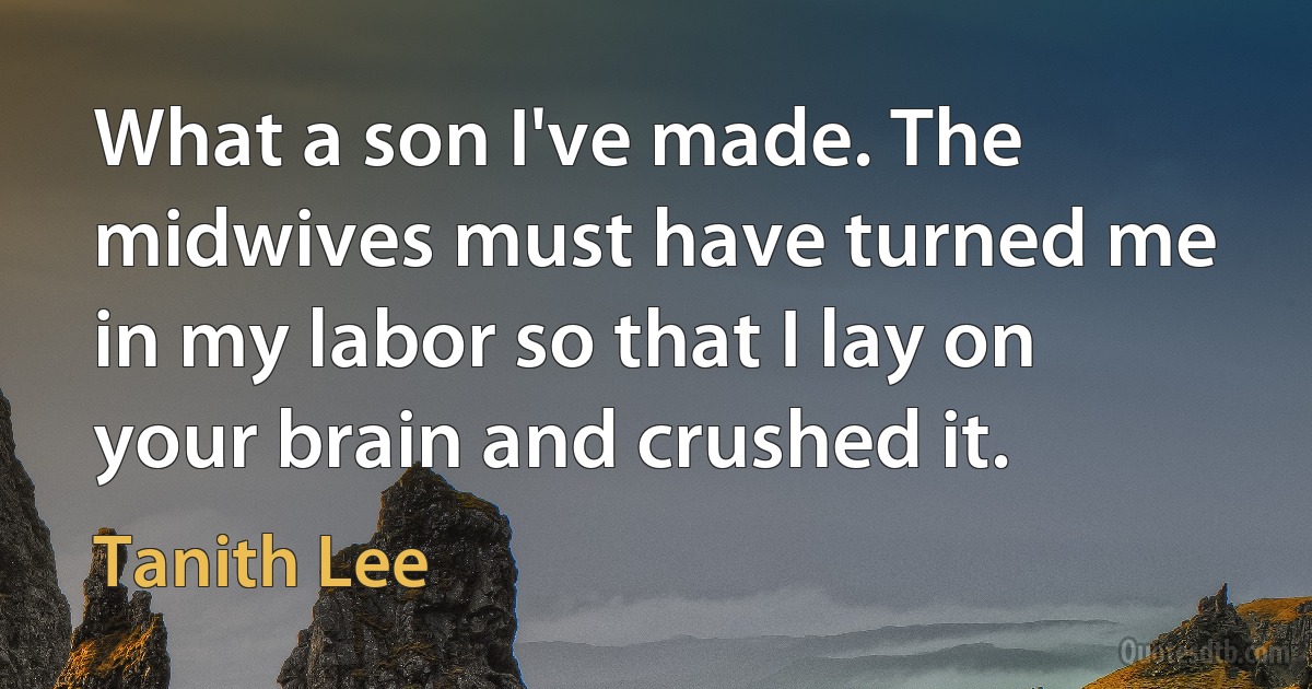 What a son I've made. The midwives must have turned me in my labor so that I lay on your brain and crushed it. (Tanith Lee)