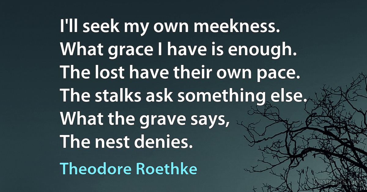 I'll seek my own meekness.
What grace I have is enough.
The lost have their own pace.
The stalks ask something else.
What the grave says,
The nest denies. (Theodore Roethke)