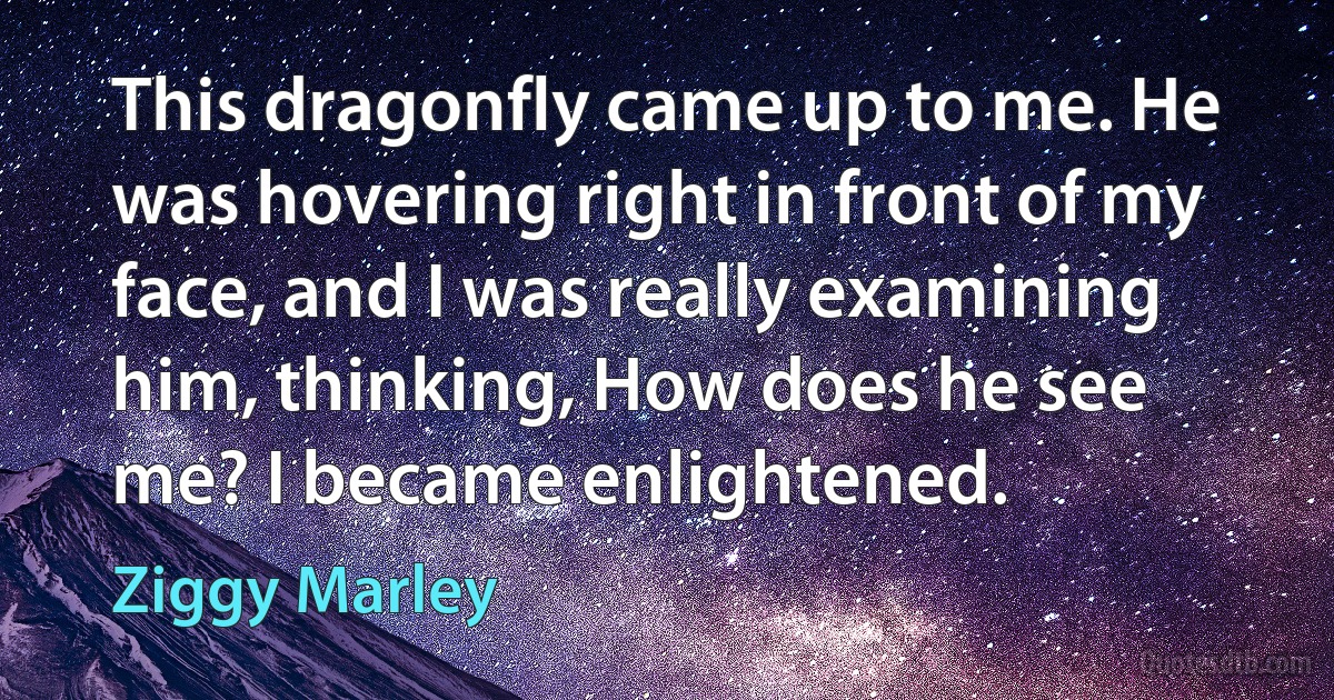 This dragonfly came up to me. He was hovering right in front of my face, and I was really examining him, thinking, How does he see me? I became enlightened. (Ziggy Marley)