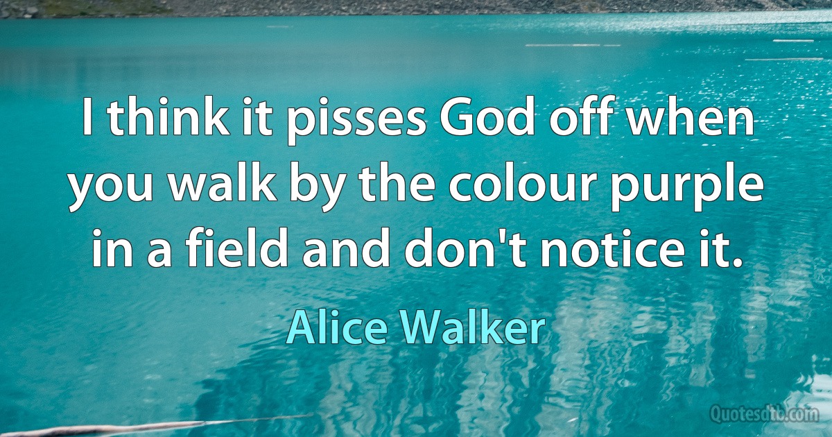 I think it pisses God off when you walk by the colour purple in a field and don't notice it. (Alice Walker)