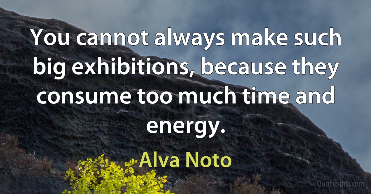 You cannot always make such big exhibitions, because they consume too much time and energy. (Alva Noto)