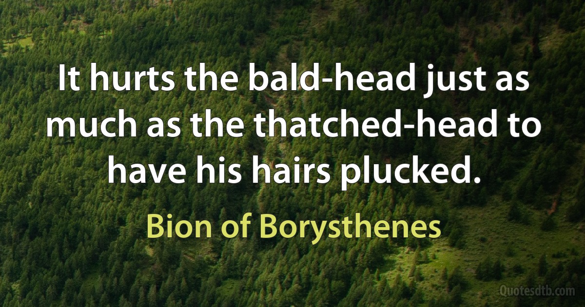 It hurts the bald-head just as much as the thatched-head to have his hairs plucked. (Bion of Borysthenes)