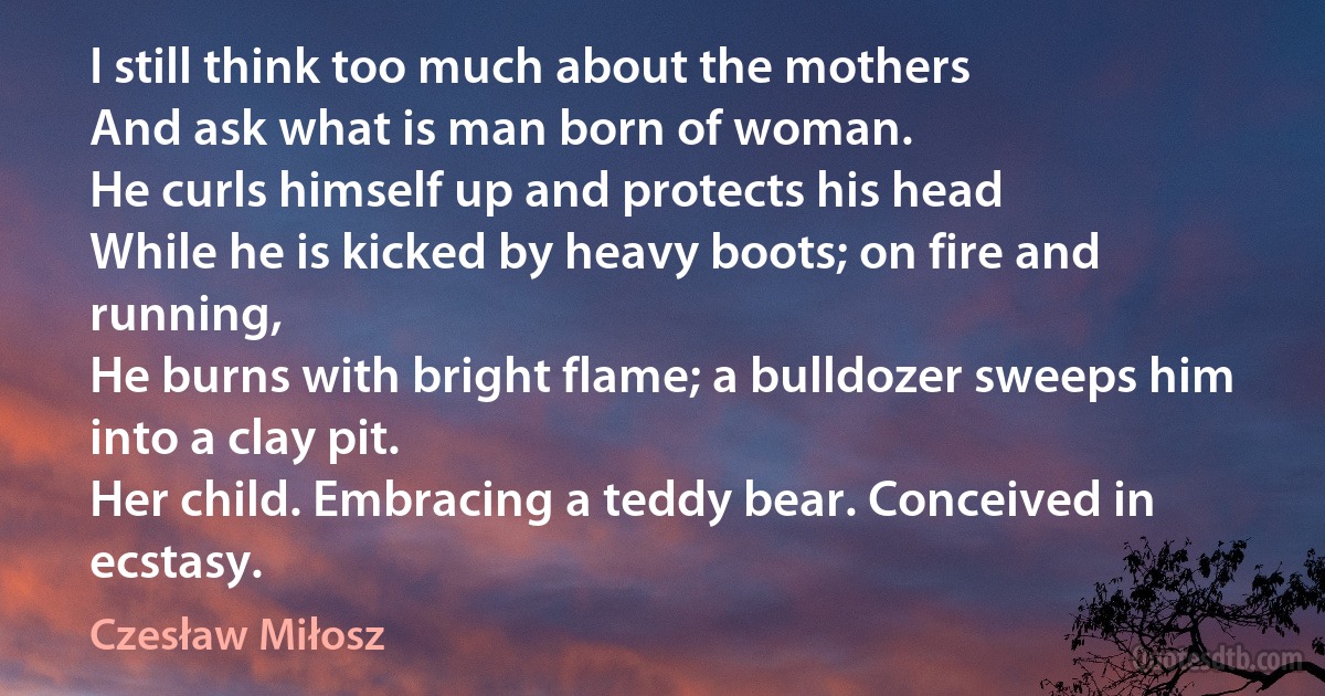 I still think too much about the mothers
And ask what is man born of woman.
He curls himself up and protects his head
While he is kicked by heavy boots; on fire and running,
He burns with bright flame; a bulldozer sweeps him into a clay pit.
Her child. Embracing a teddy bear. Conceived in ecstasy. (Czesław Miłosz)