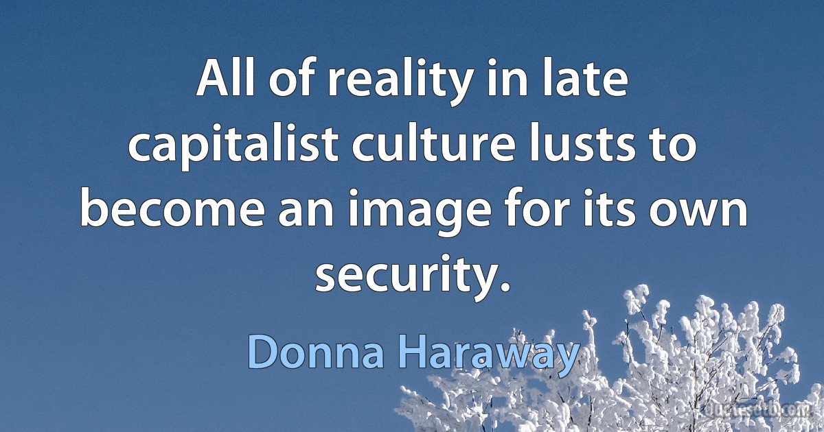 All of reality in late capitalist culture lusts to become an image for its own security. (Donna Haraway)