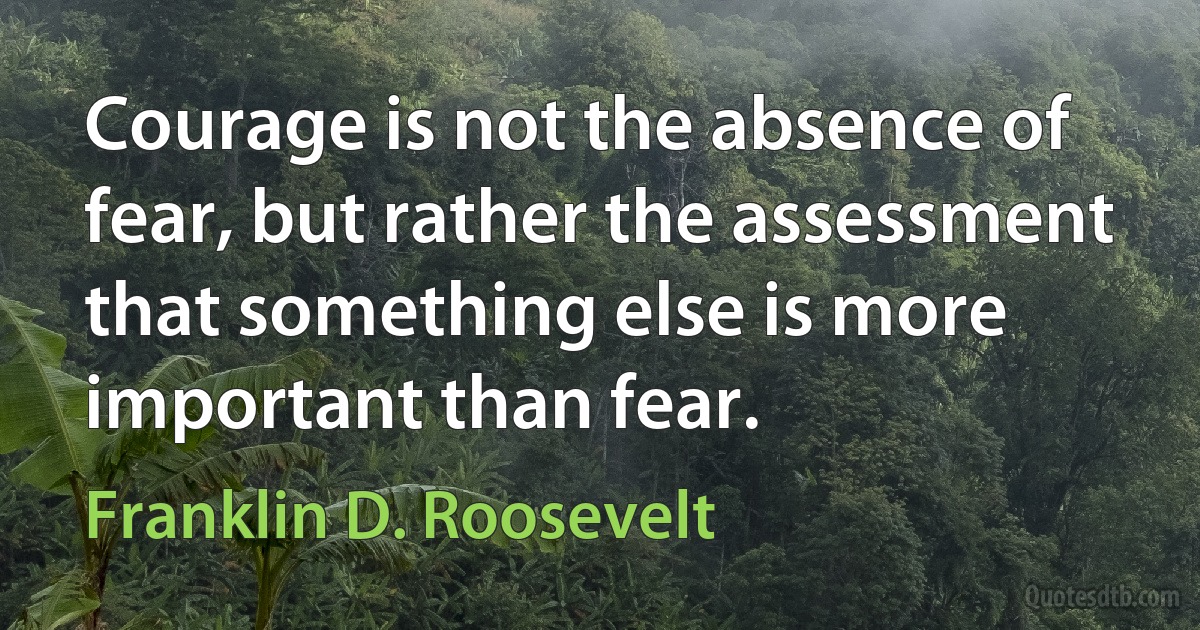 Courage is not the absence of fear, but rather the assessment that something else is more important than fear. (Franklin D. Roosevelt)