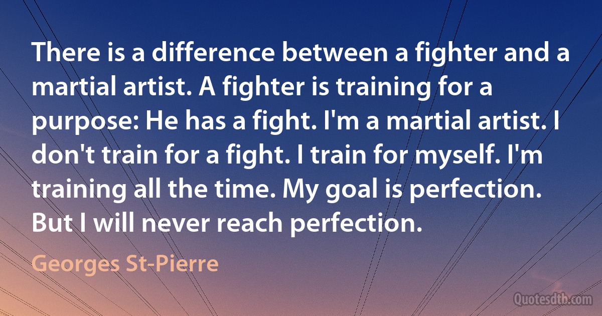 There is a difference between a fighter and a martial artist. A fighter is training for a purpose: He has a fight. I'm a martial artist. I don't train for a fight. I train for myself. I'm training all the time. My goal is perfection. But I will never reach perfection. (Georges St-Pierre)