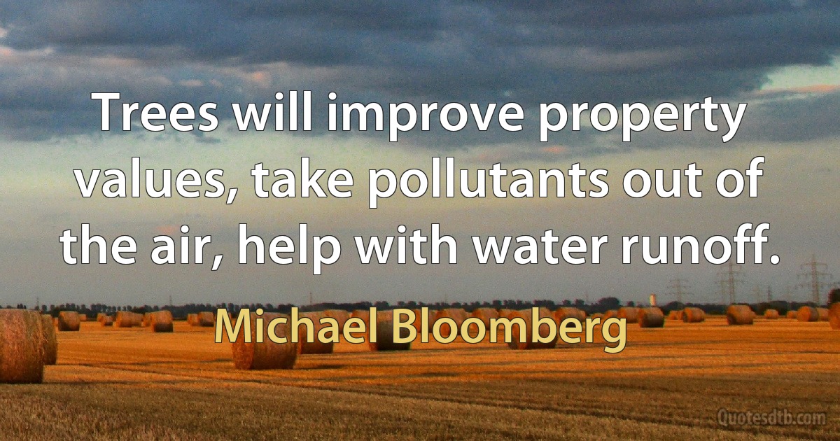 Trees will improve property values, take pollutants out of the air, help with water runoff. (Michael Bloomberg)