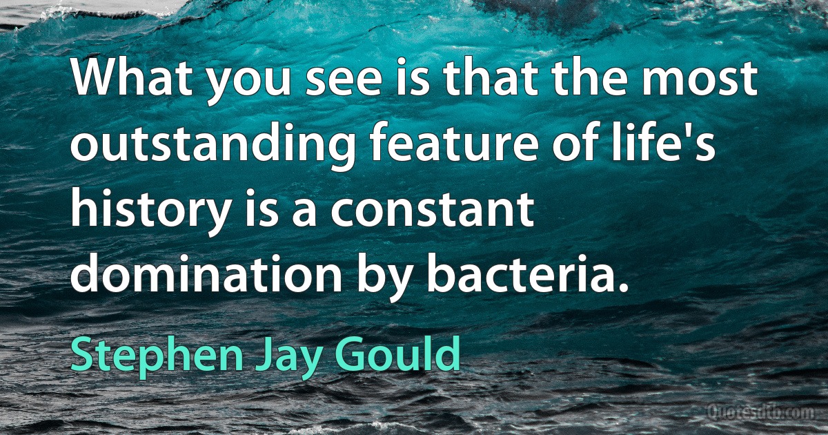 What you see is that the most outstanding feature of life's history is a constant domination by bacteria. (Stephen Jay Gould)