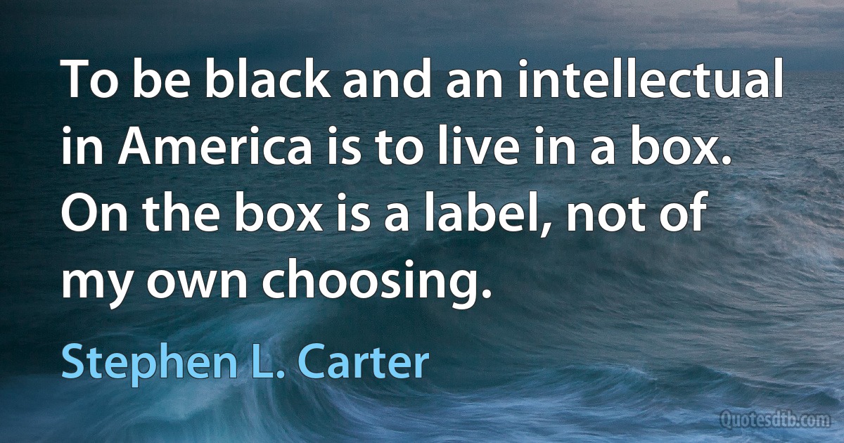 To be black and an intellectual in America is to live in a box. On the box is a label, not of my own choosing. (Stephen L. Carter)